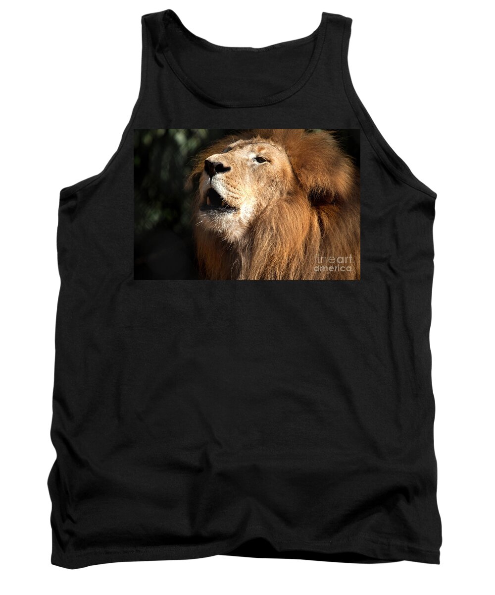 Lion Tank Top featuring the photograph Roar - African Lion by Meg Rousher