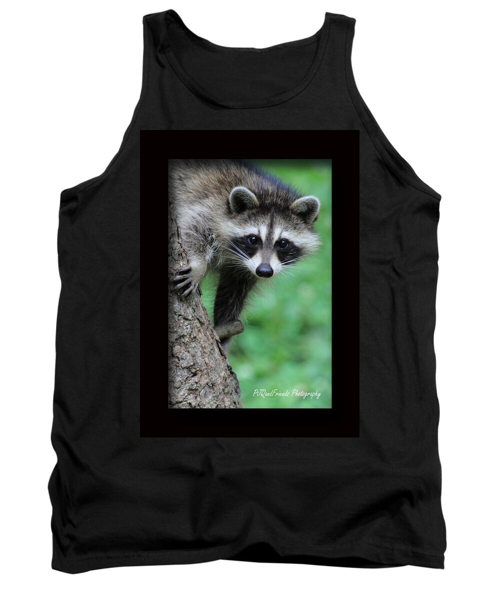 Bandits Tank Top featuring the photograph Rocky Racoon by PJQandFriends Photography