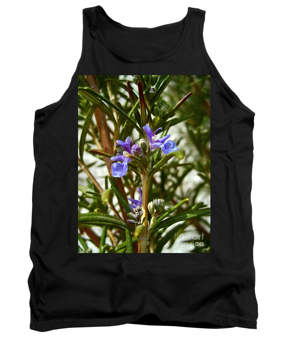Rosemary Tank Top featuring the photograph Rosemary by Nina Ficur Feenan