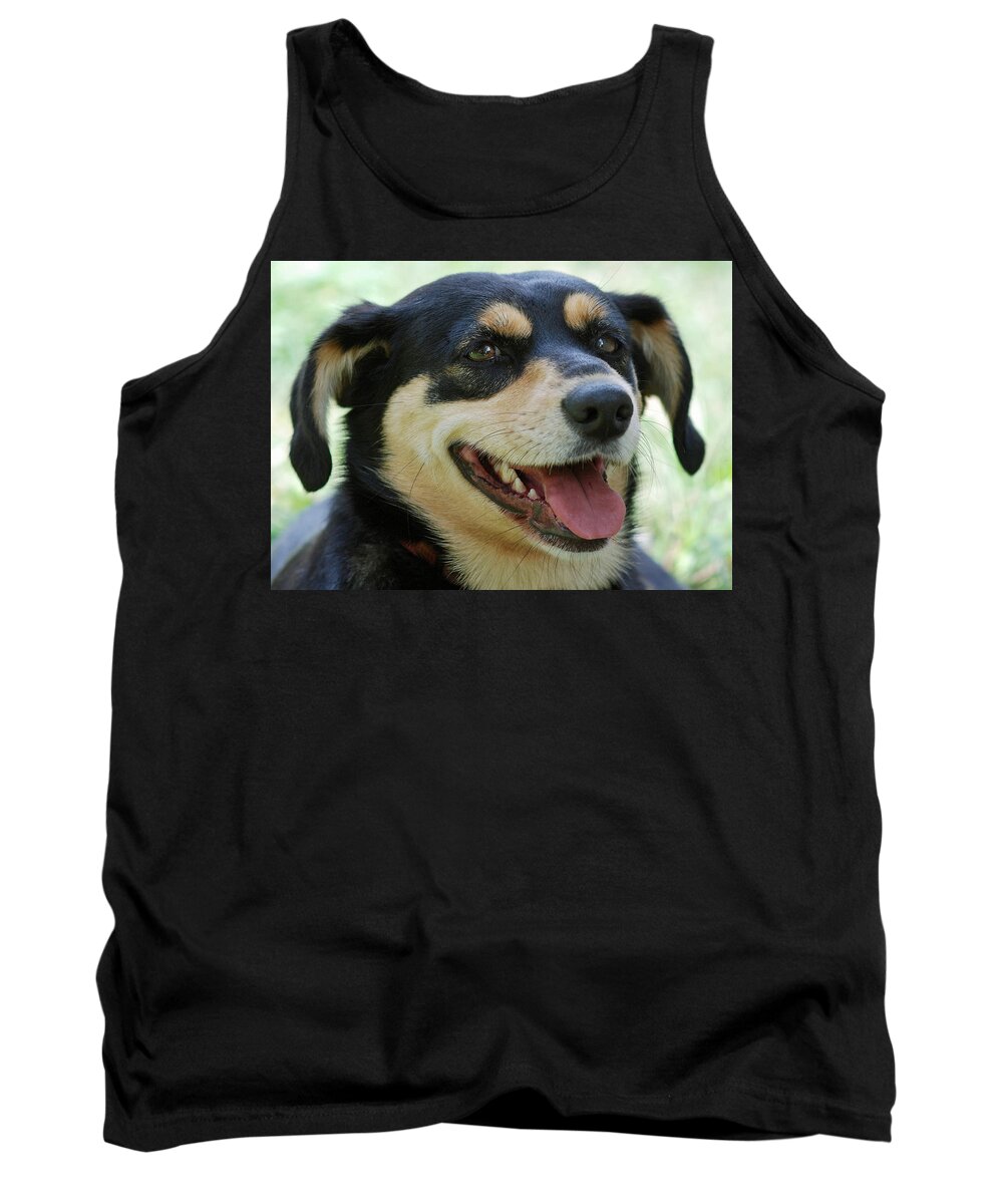 Animals Tank Top featuring the photograph Ruby by Lisa Phillips