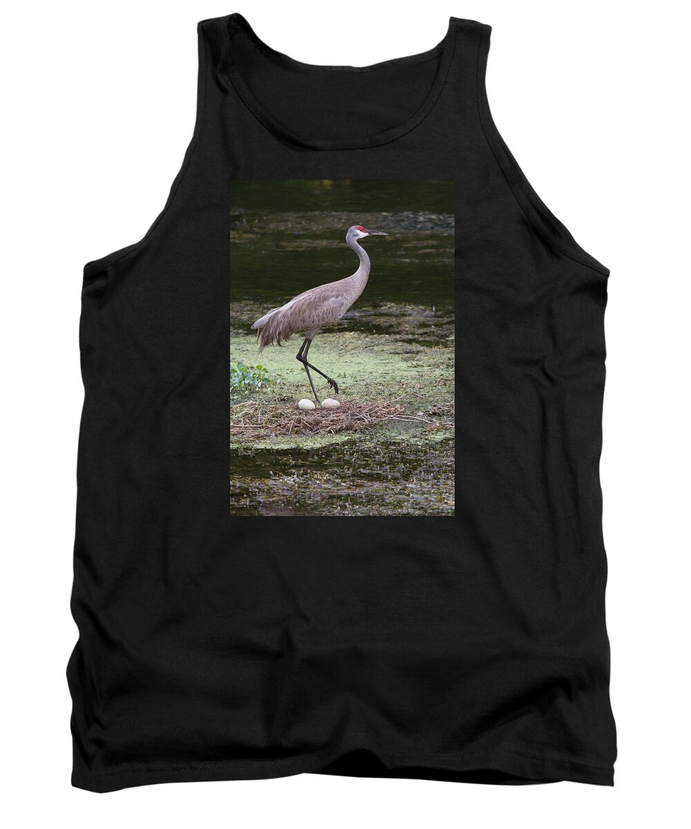 Sandhill Tank Top featuring the photograph Sandhill Crane and Eggs by Paul Rebmann