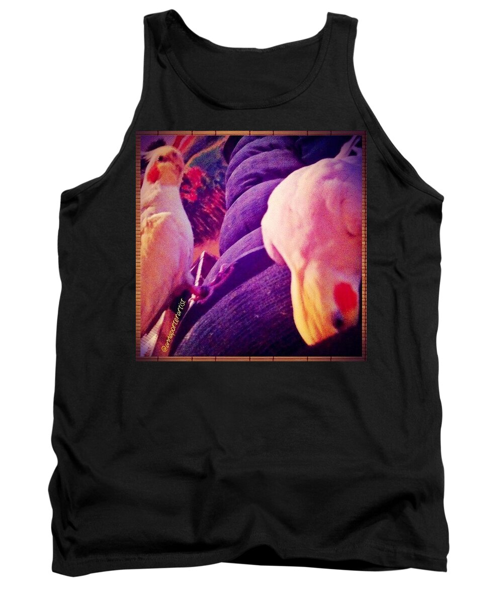 Petstagram Tank Top featuring the photograph Say There Sugar, Did You Find Anything by Anna Porter