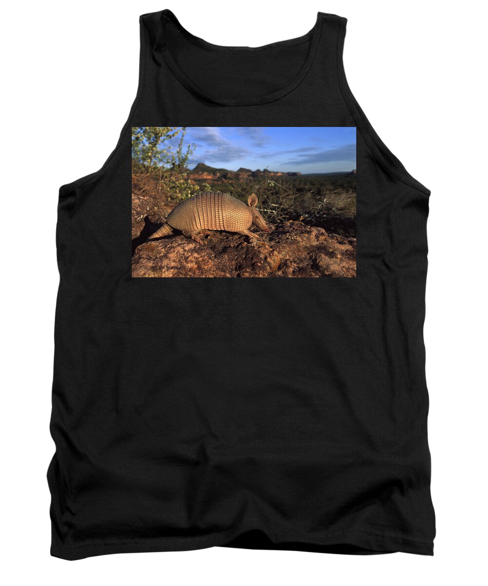 Feb0514 Tank Top featuring the photograph Seven-banded Armadillo Brazil by Pete Oxford