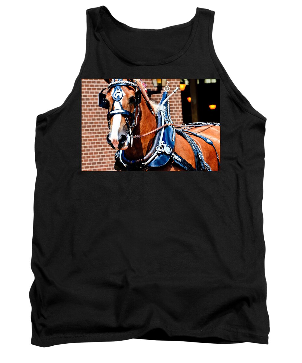 Horse Tank Top featuring the photograph Show Horse by Ben Graham