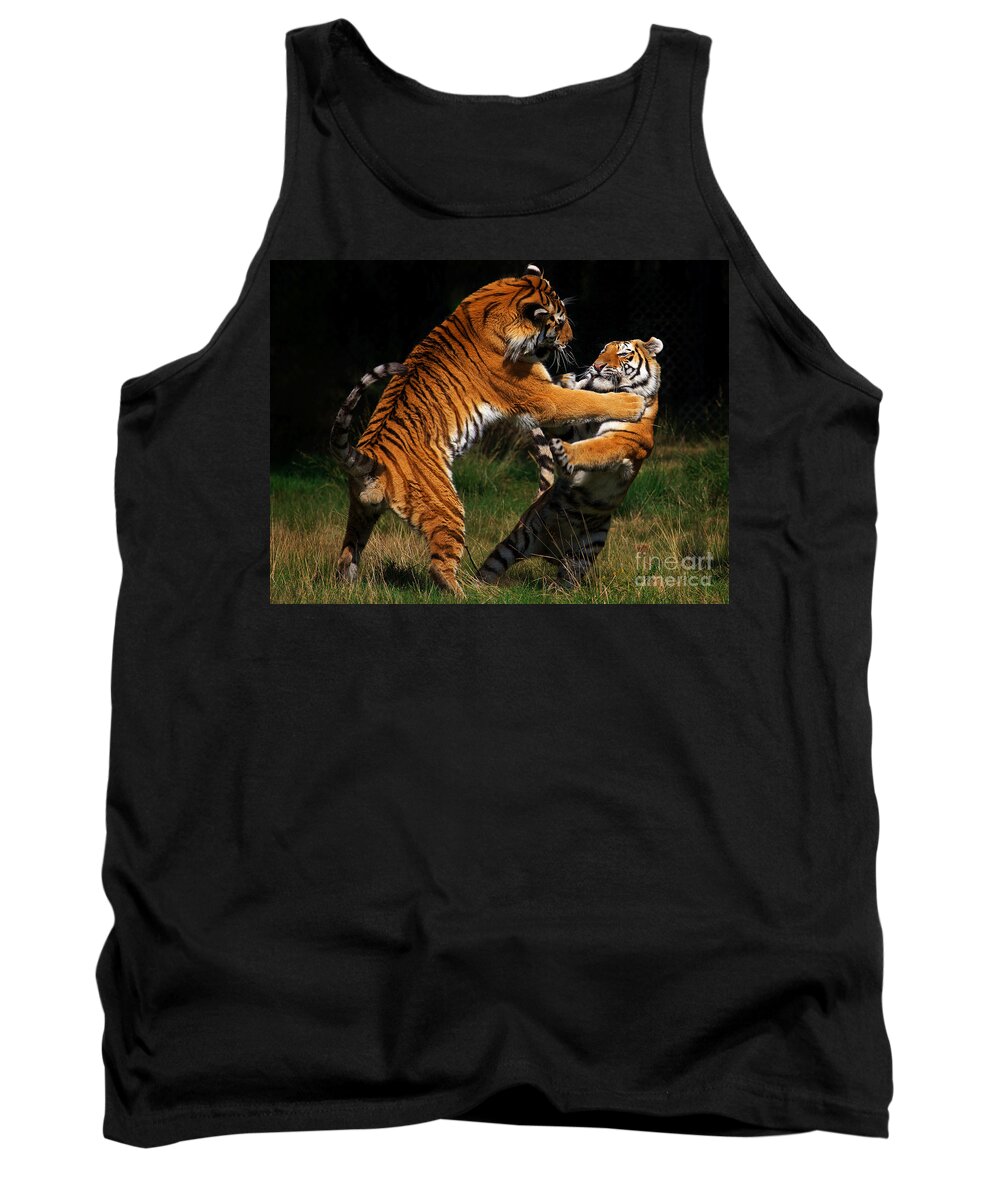 Two Tank Top featuring the photograph Siberian Tigers in fight by Nick Biemans