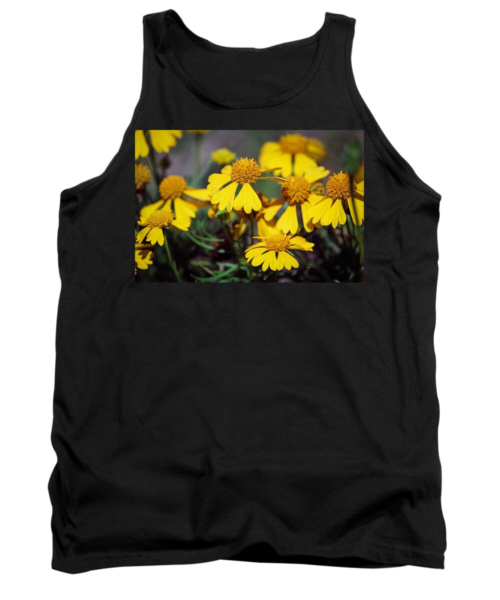 Sneezeweed Flowers Tank Top featuring the photograph Sneezeweed by Ester McGuire