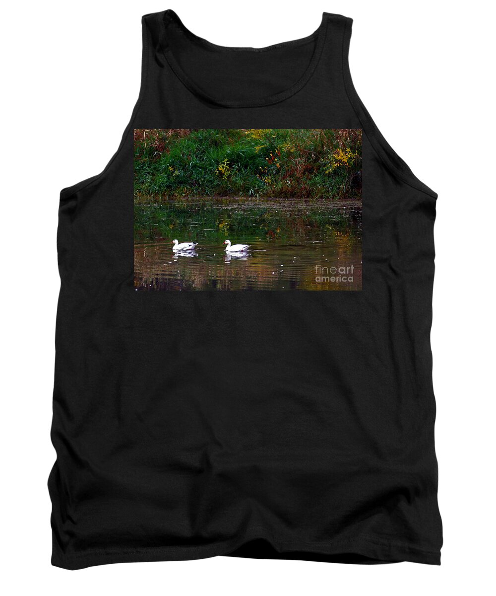 Pair Of Snowgeese Tank Top featuring the photograph Snow Geese Swim by Elizabeth Winter