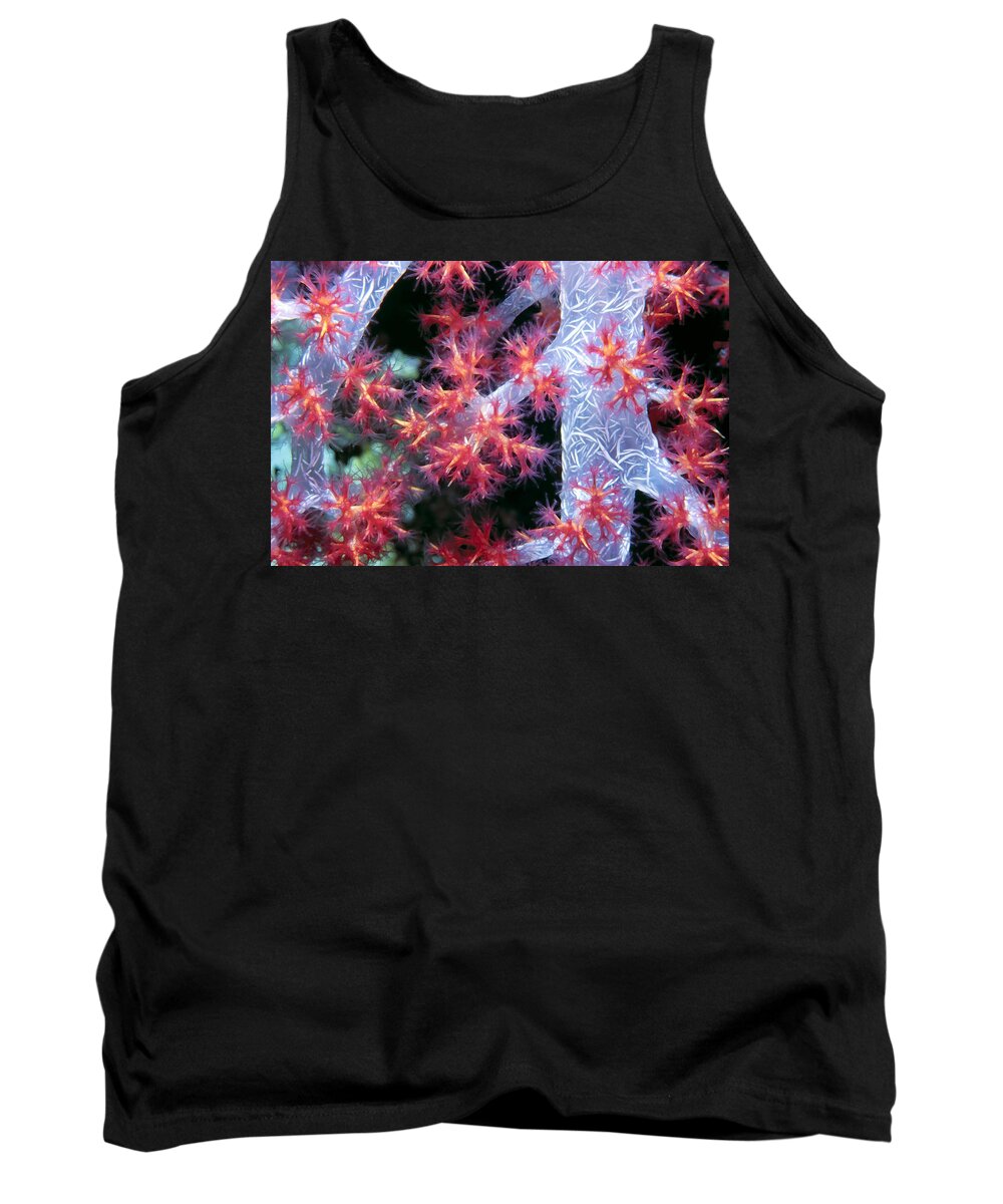 Micronesia Tank Top featuring the photograph Soft Corals 18 by Dawn Eshelman