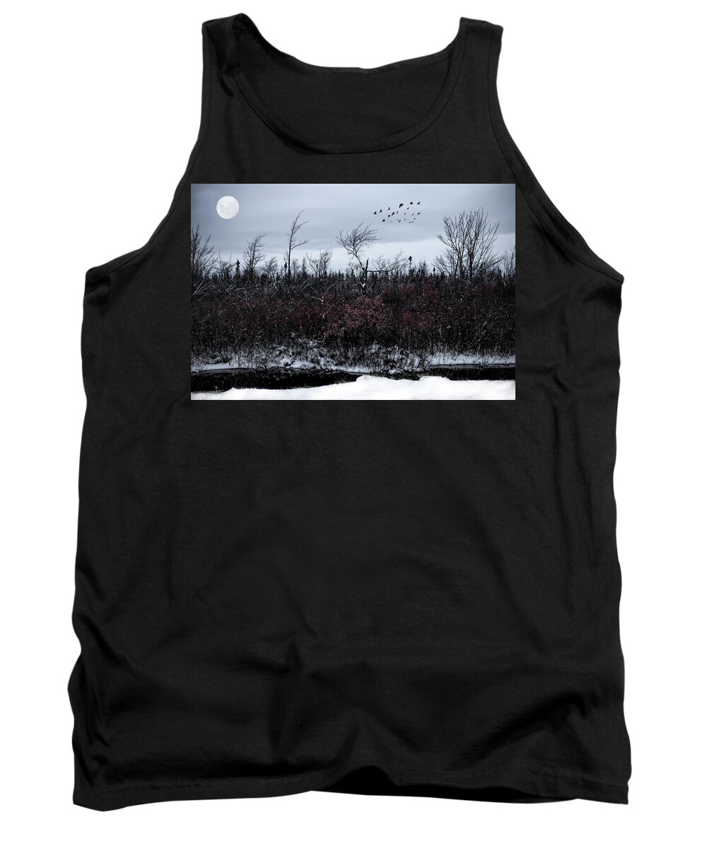 Evie Tank Top featuring the photograph South to the Moon by Evie Carrier