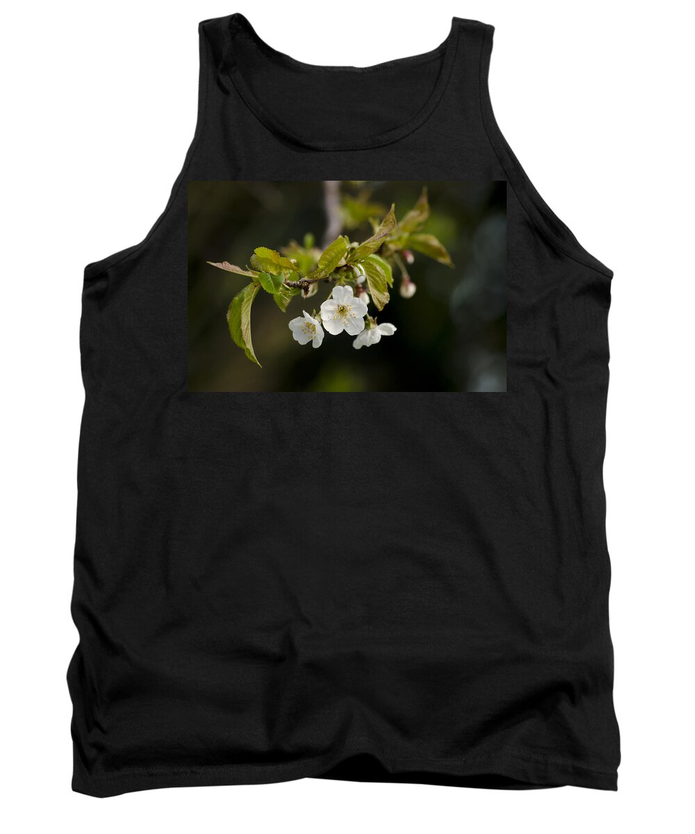 Branch Tank Top featuring the photograph Spring Blossom by Spikey Mouse Photography