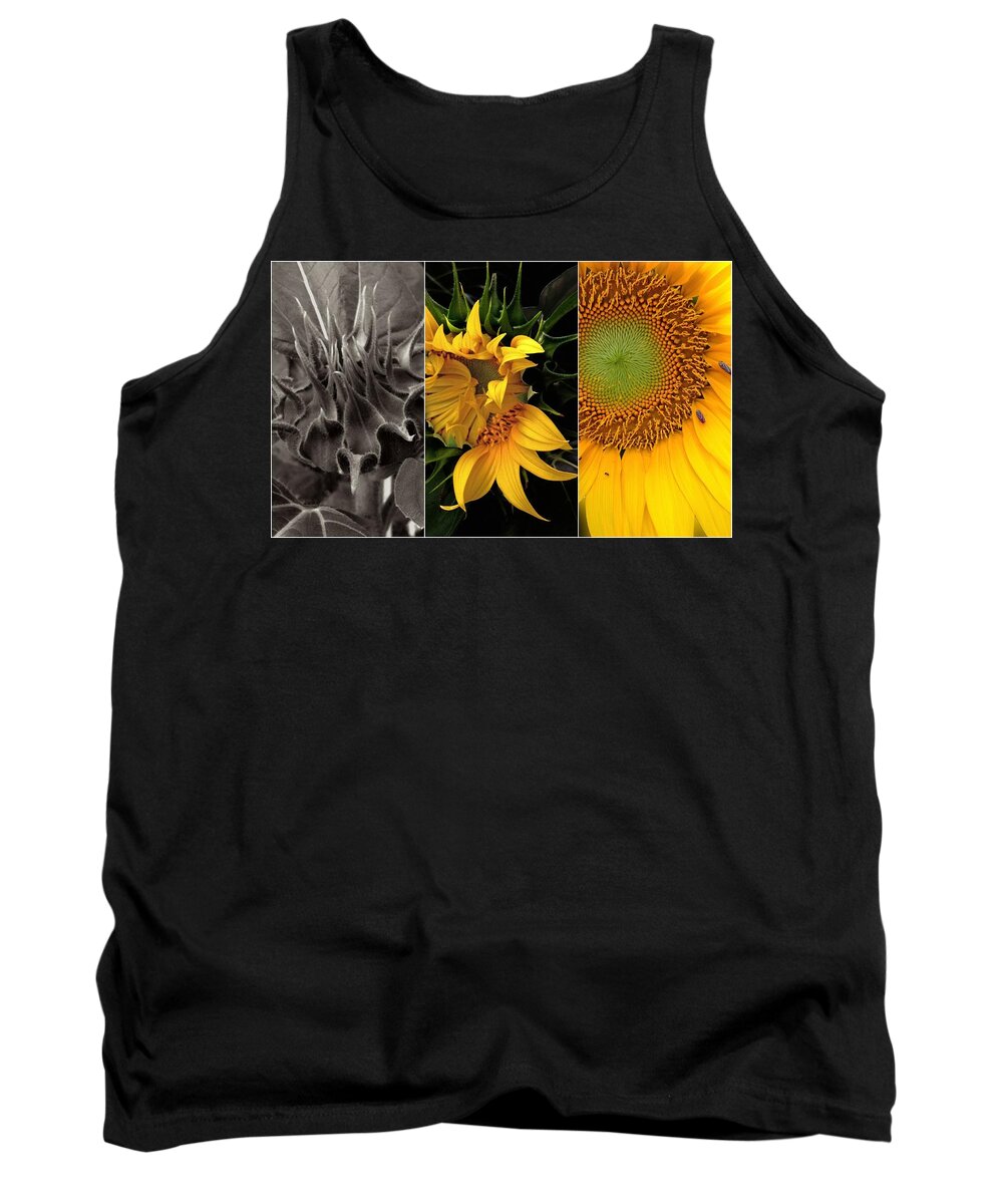 Sunflower Tank Top featuring the photograph Sunflower-Triptych by Don Spenner