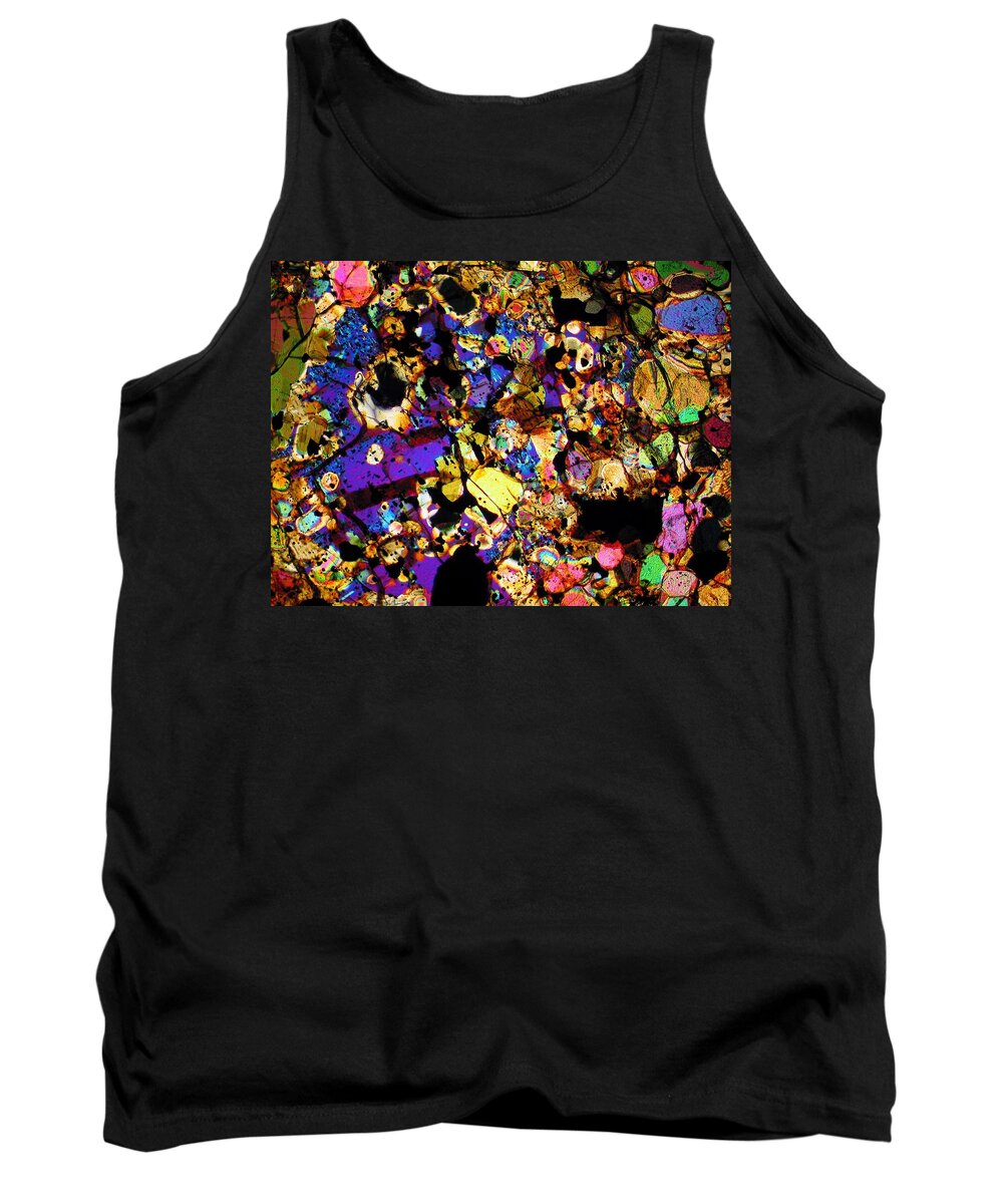Meteorites Tank Top featuring the photograph Picking Mushrooms by Hodges Jeffery