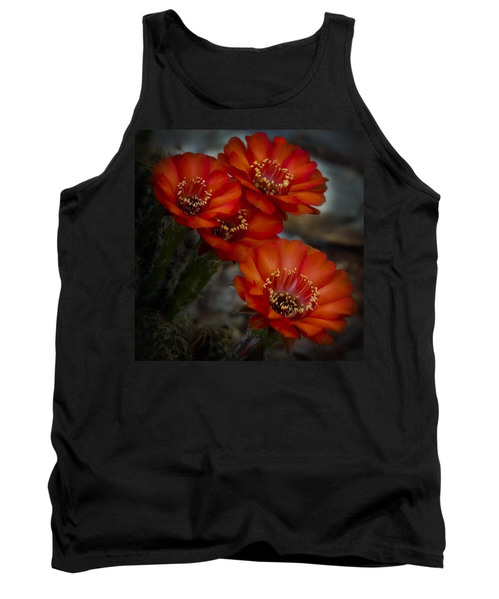 Red Cactus Flower Tank Top featuring the photograph The Beauty of RED by Saija Lehtonen
