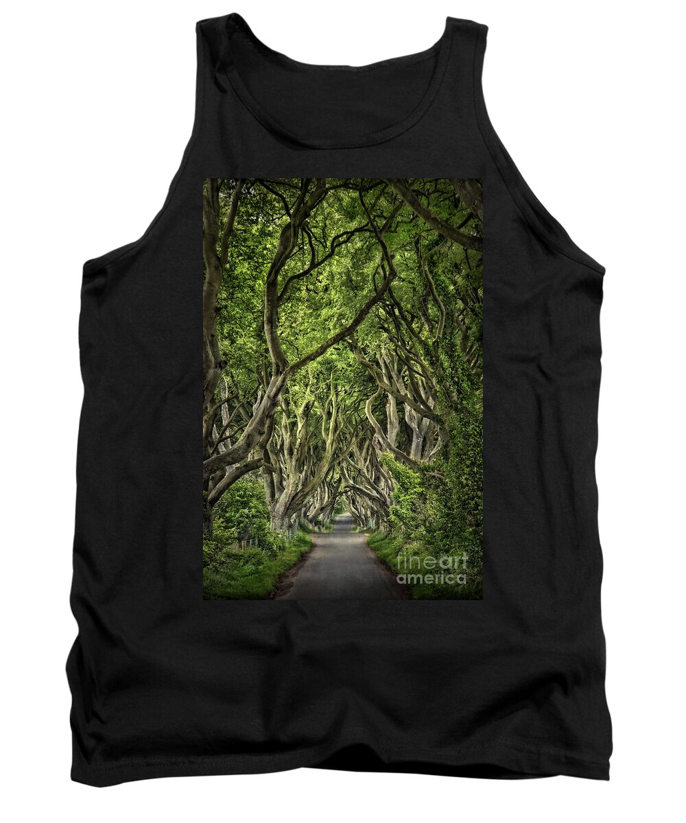 Dark Hedges Tank Top featuring the photograph The Dark Hedges by Evelina Kremsdorf