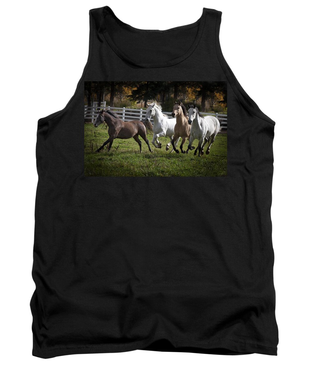 The Goldendale Four Tank Top featuring the photograph The Goldendale Four by Wes and Dotty Weber