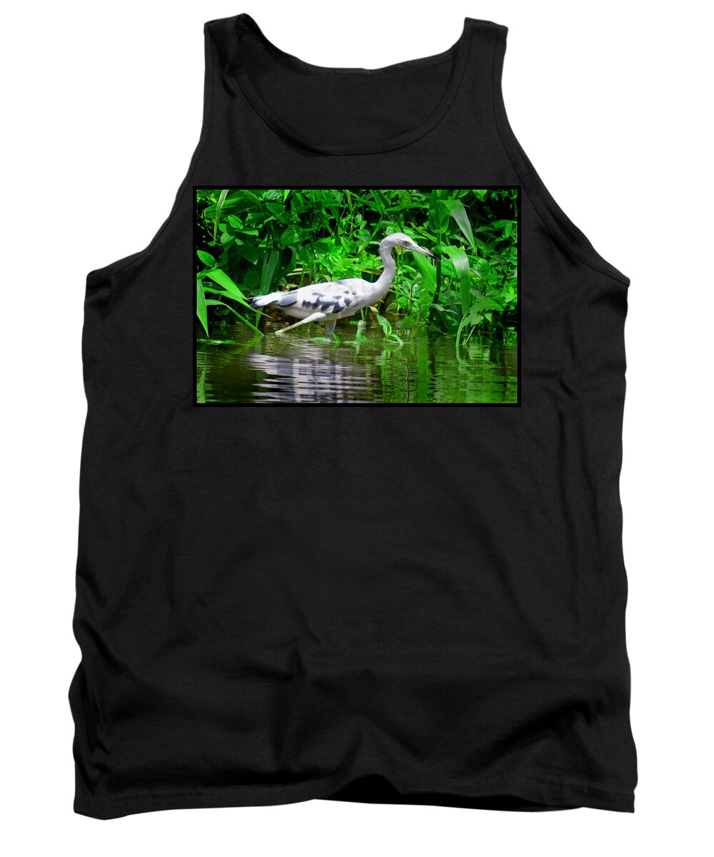 Marsh Tank Top featuring the photograph The Little Blue Heron by Gary Keesler