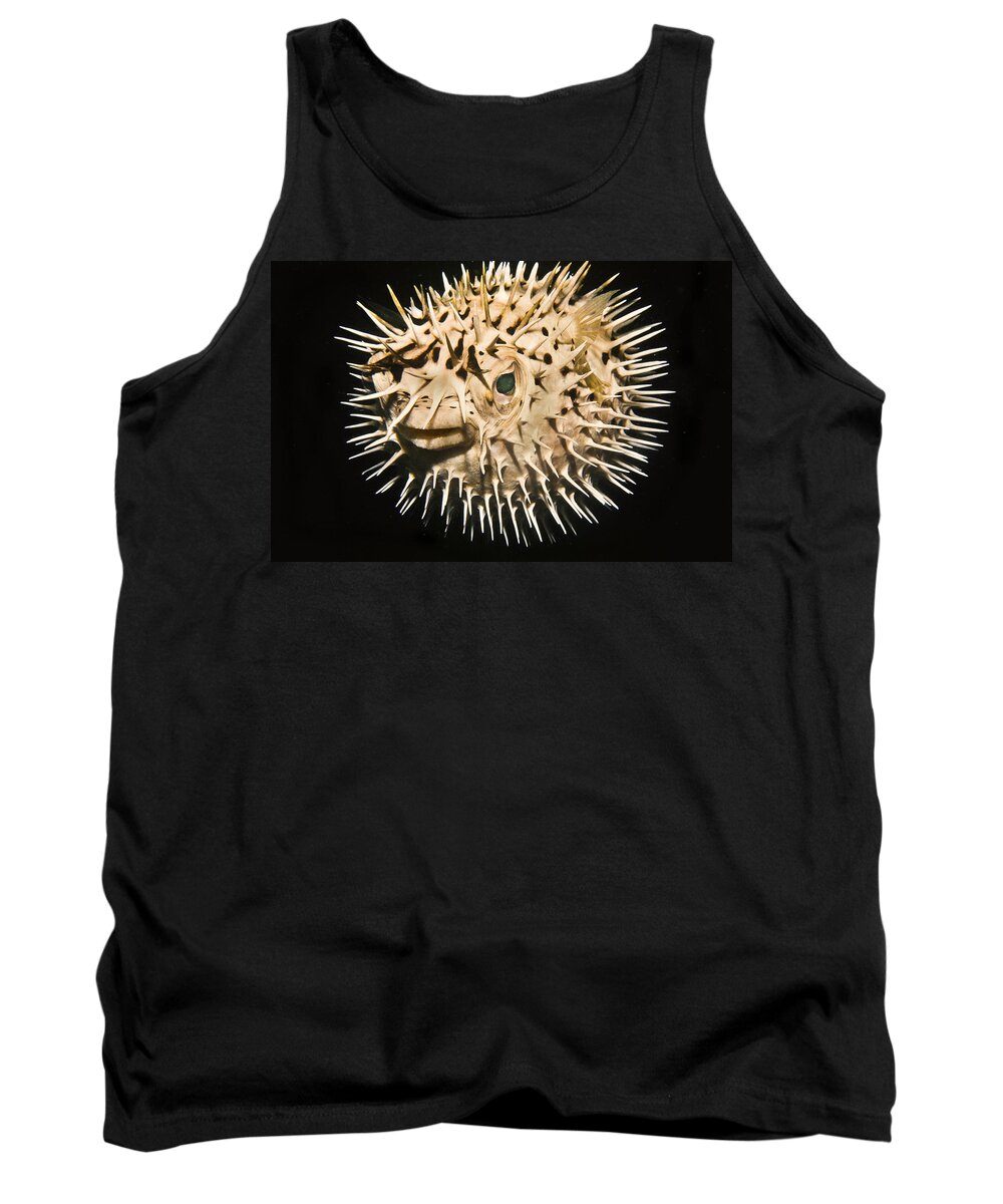 Puffer Tank Top featuring the photograph The Puffer Collection by Sandra Edwards