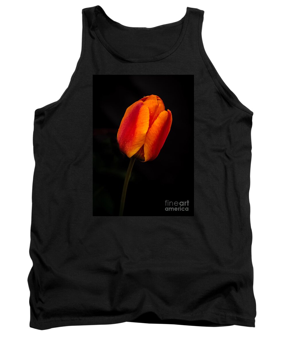 Plants Tank Top featuring the photograph The Tulip by Robert Bales