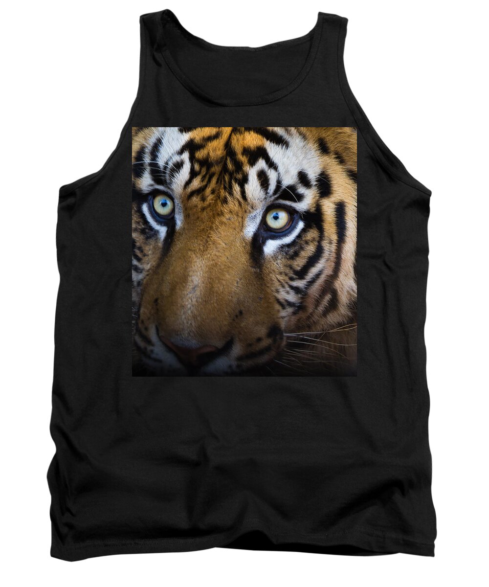 Tiger Tank Top featuring the photograph Tiger close-up by SAURAVphoto Online Store