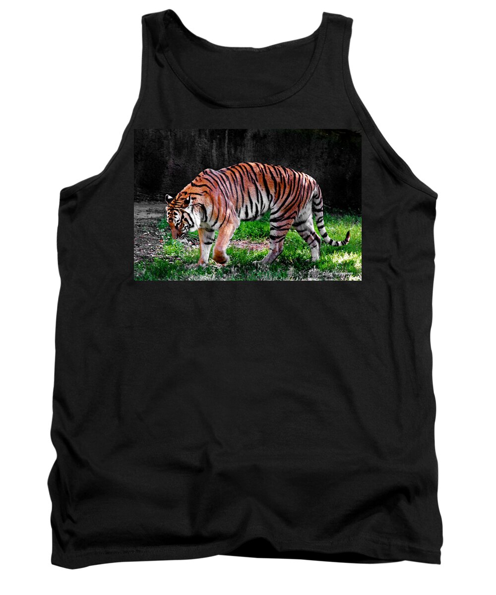  Vivid.big Cat Canvas Tank Top featuring the photograph Tiger Tale by Lucy VanSwearingen