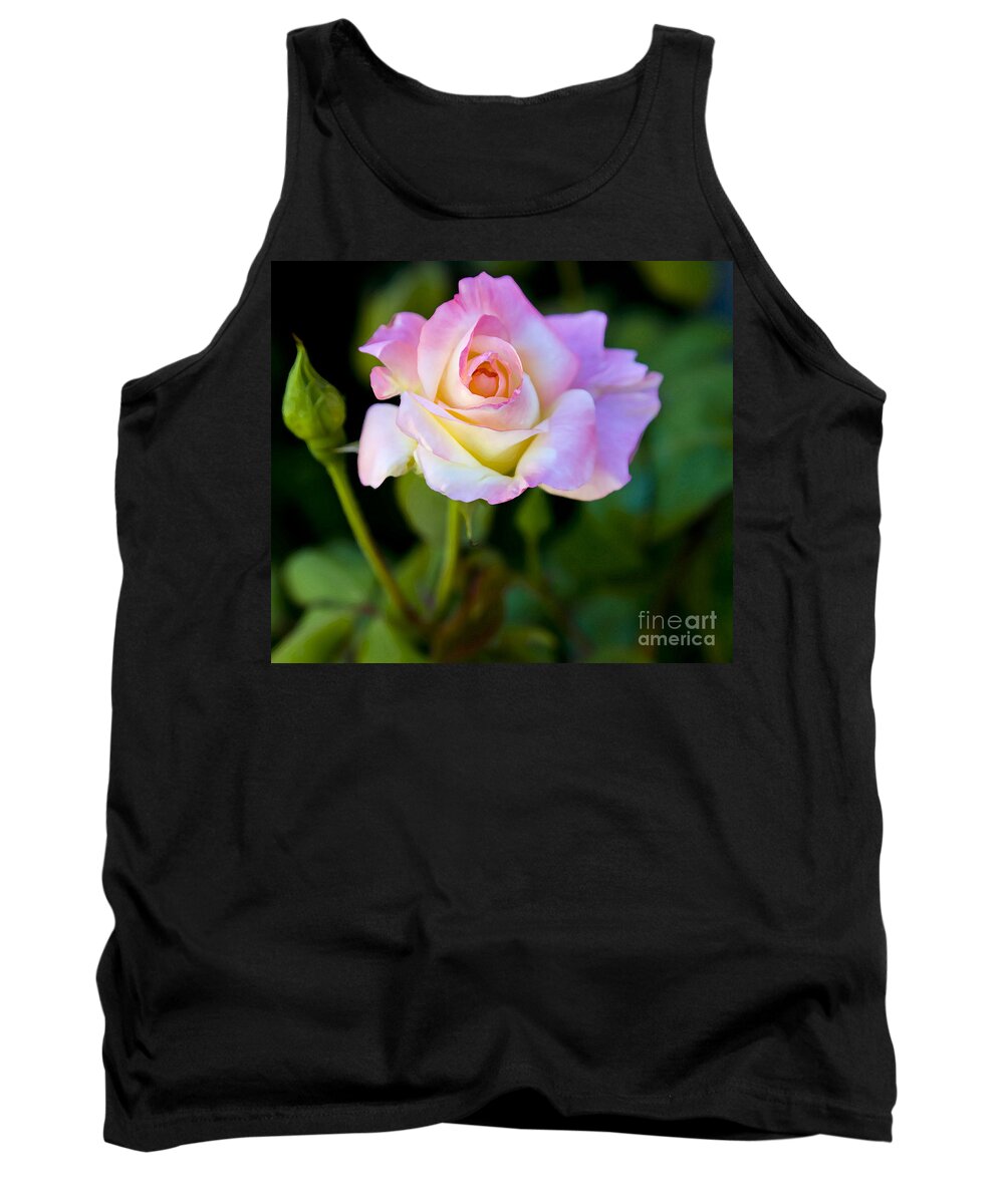 Rose Tank Top featuring the photograph Rose-Touch me softly by David Millenheft