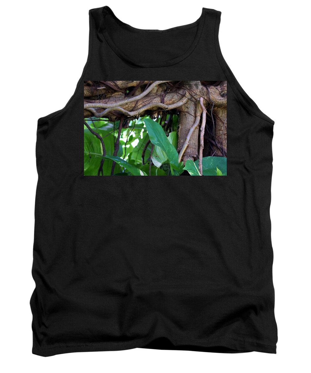 Tree Tank Top featuring the photograph Tree Branch by Rafael Salazar