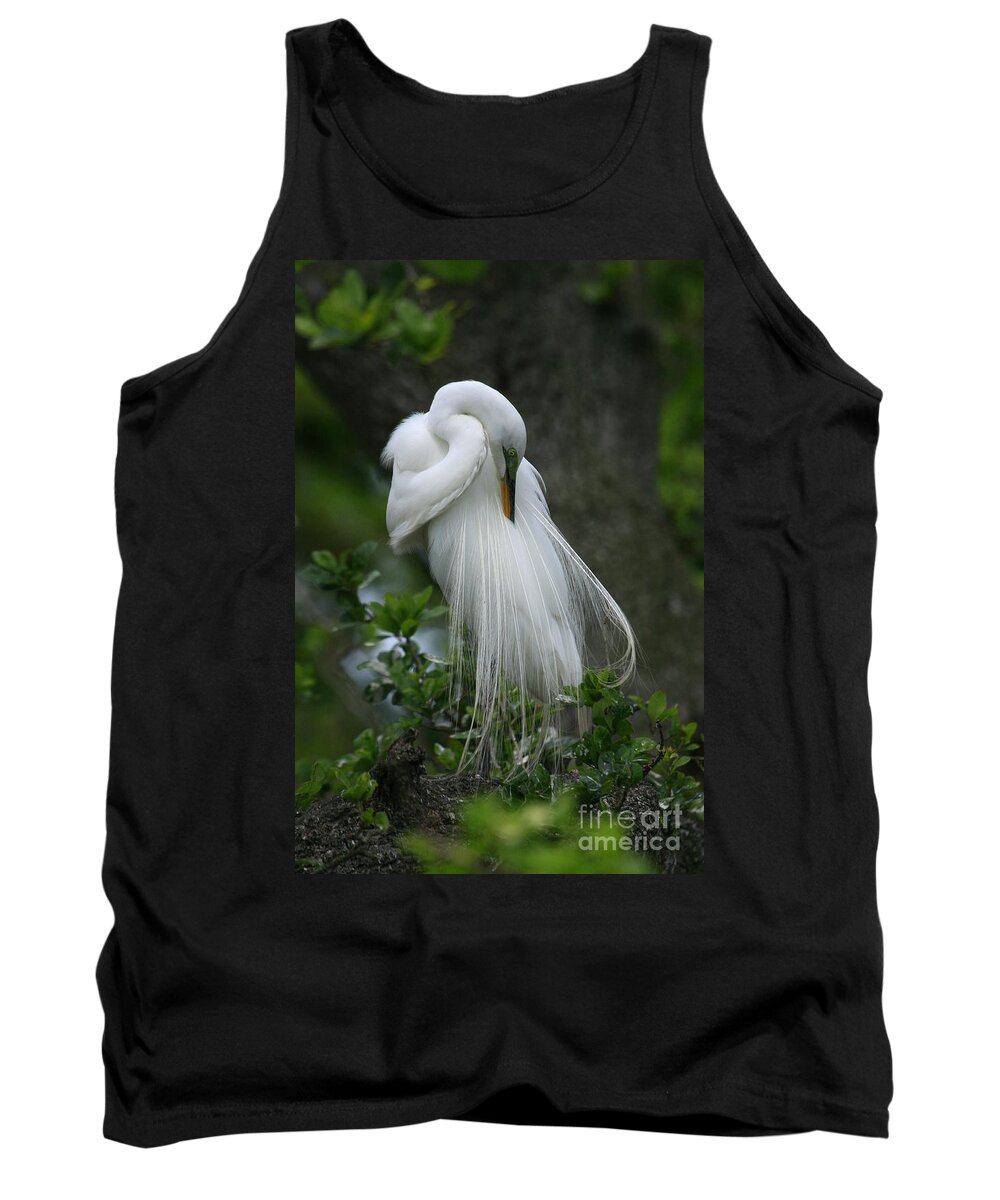 Great Egret Tank Top featuring the photograph Tree of Plumes by John F Tsumas