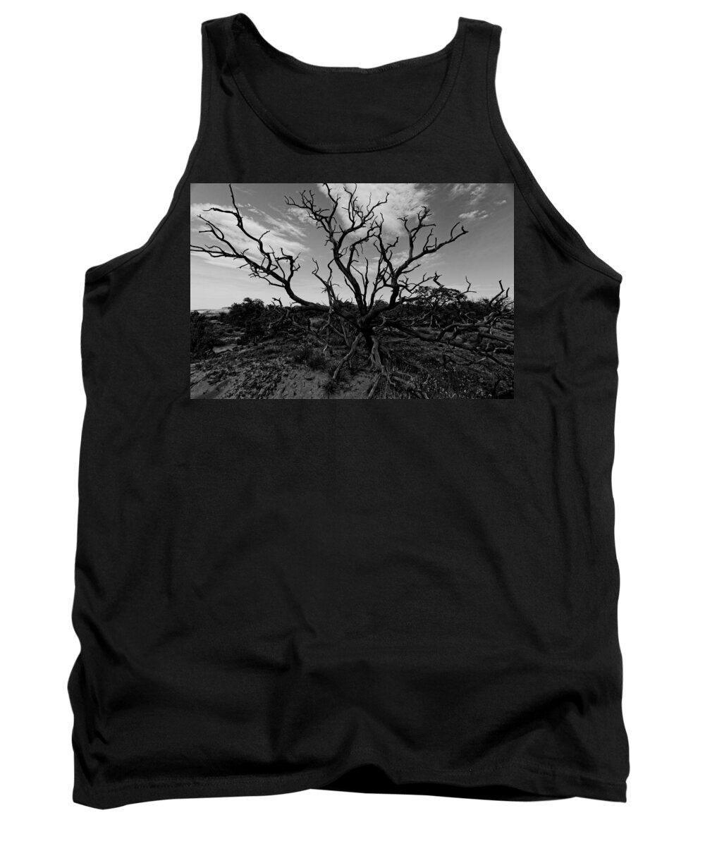 Juniper Tree Tank Top featuring the photograph Tree of the Dead by Jonathan Davison