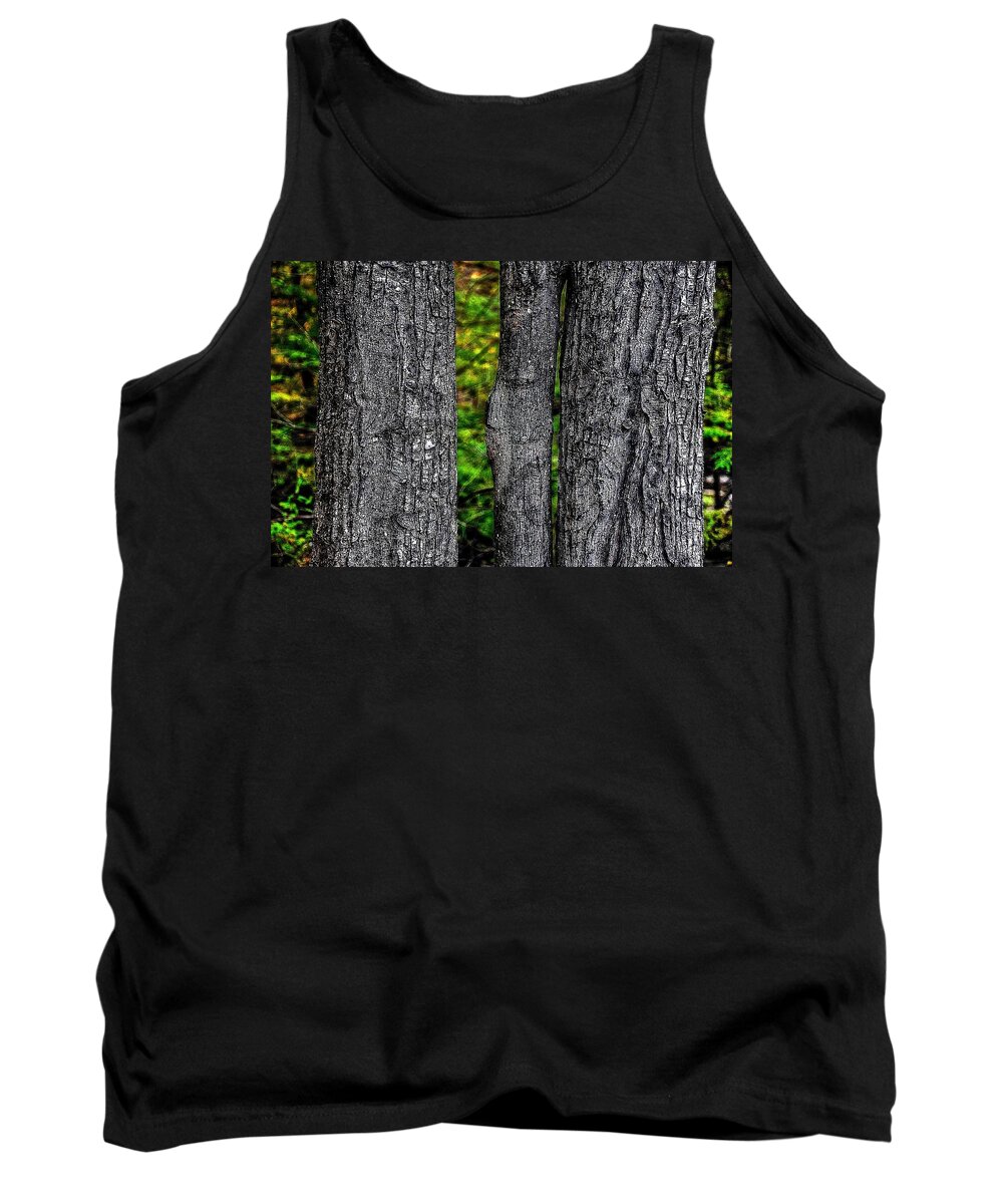 Trees Tank Top featuring the photograph Trees by Phyllis Meinke