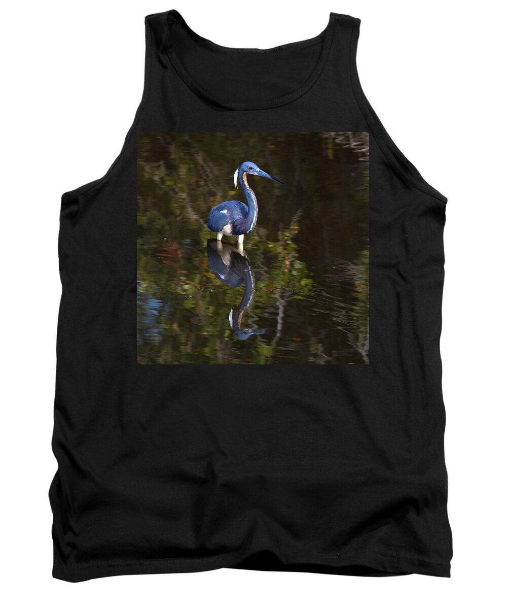 Heron Tank Top featuring the photograph Tricolored Heron by Carol Erikson
