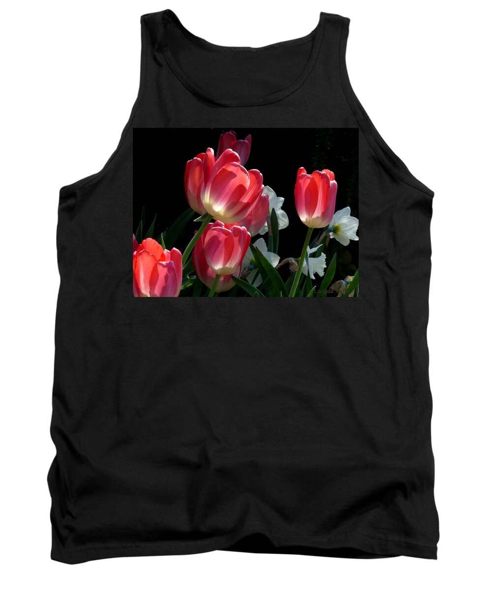 Flowers Tank Top featuring the photograph Tulips and Daffodils by Lucinda Walter