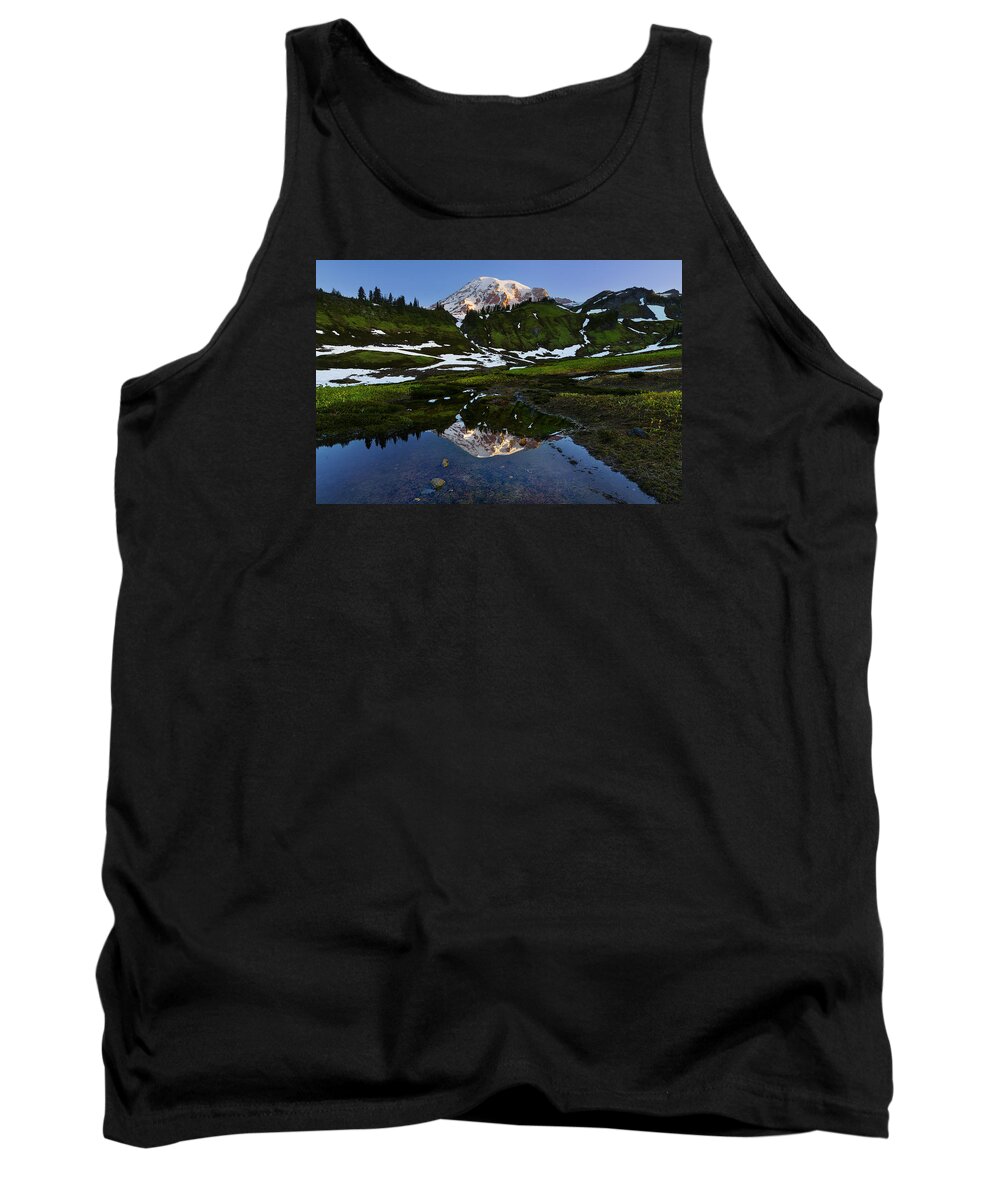 Alpine Tank Top featuring the photograph UnTarnished View by Ryan Manuel