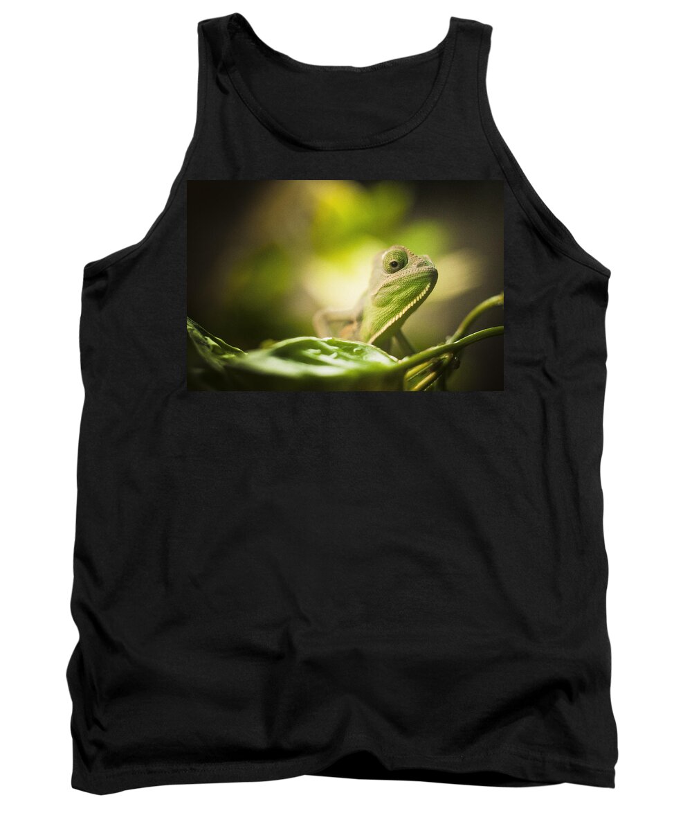Veiled Tank Top featuring the photograph Veiled Chameleon Is Watching You by Bradley R Youngberg