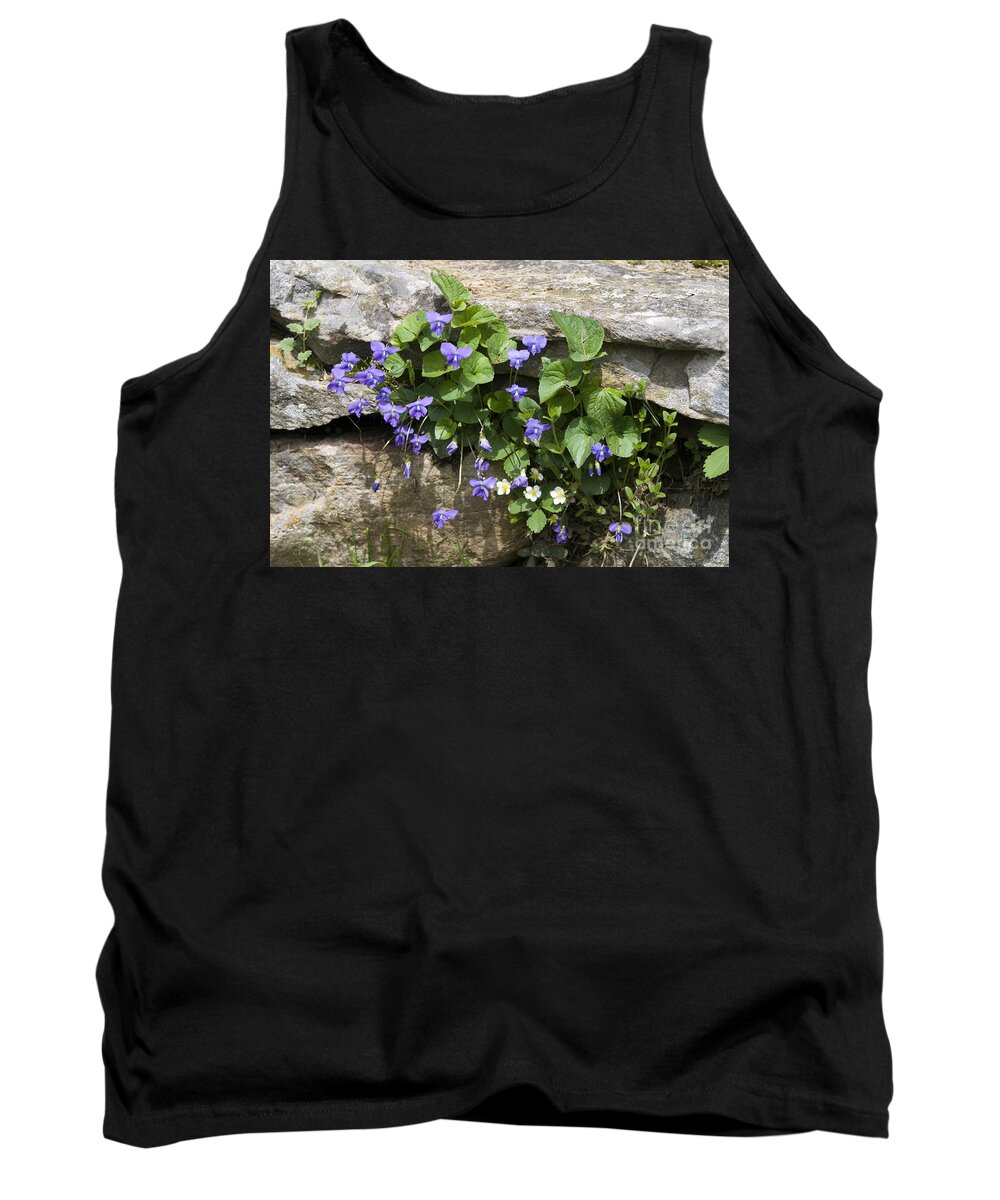 Violets Tank Top featuring the photograph Violets and Wild Strawberries by John Greco