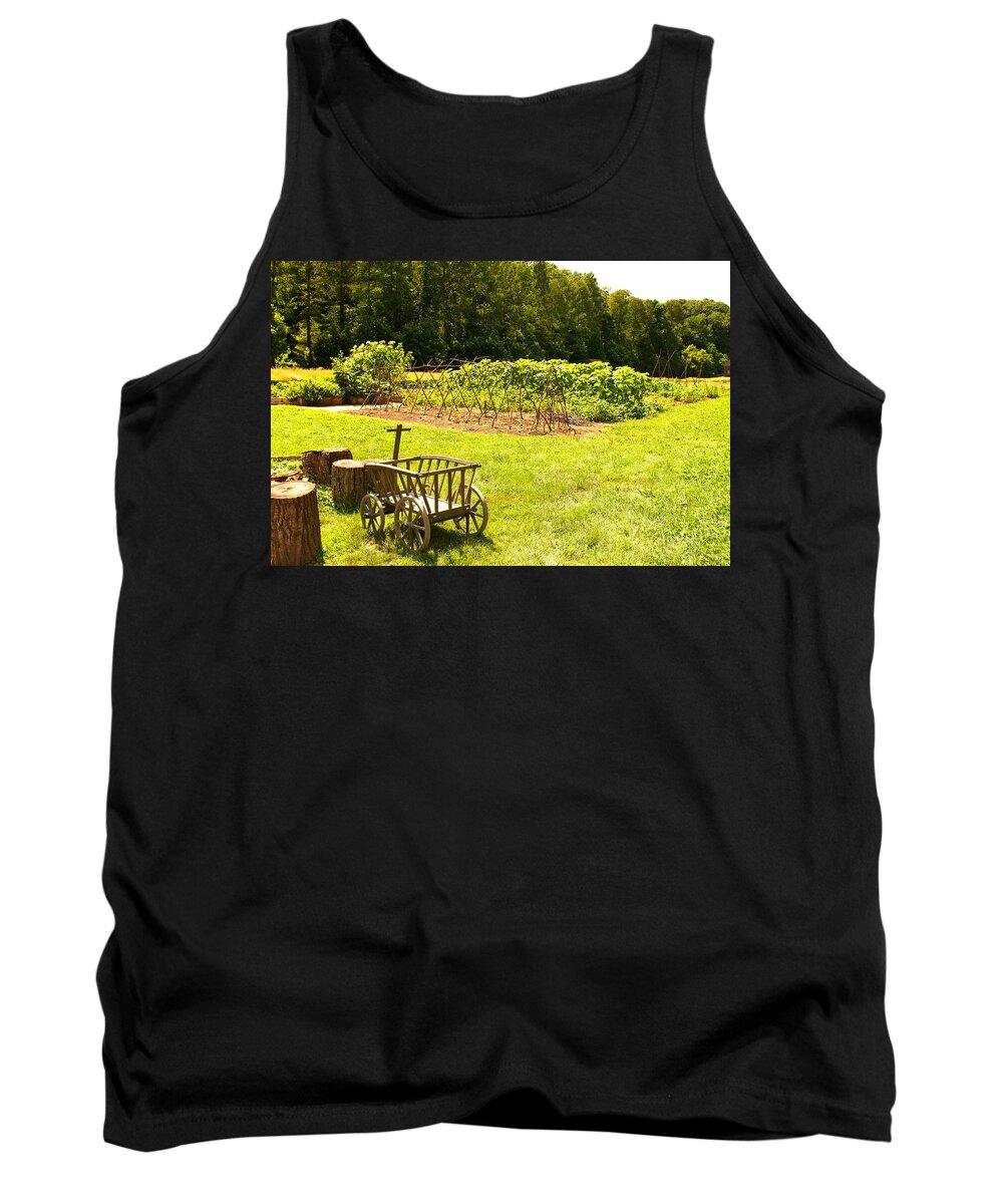 Mount Vernon Tank Top featuring the photograph George Washington's Garden by Paul Mangold