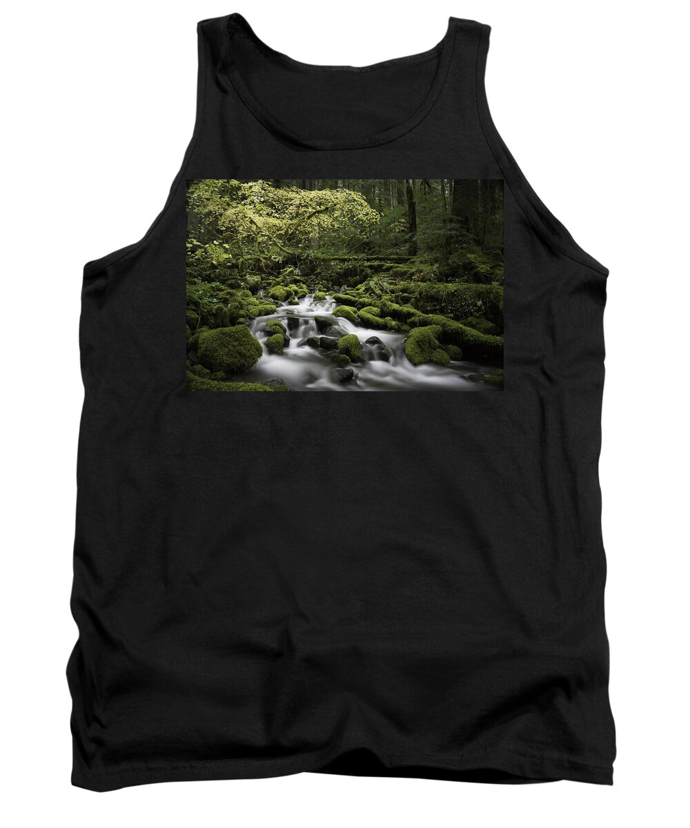 Washington State Tank Top featuring the photograph Waterfall In The Fall by Jonathan Davison
