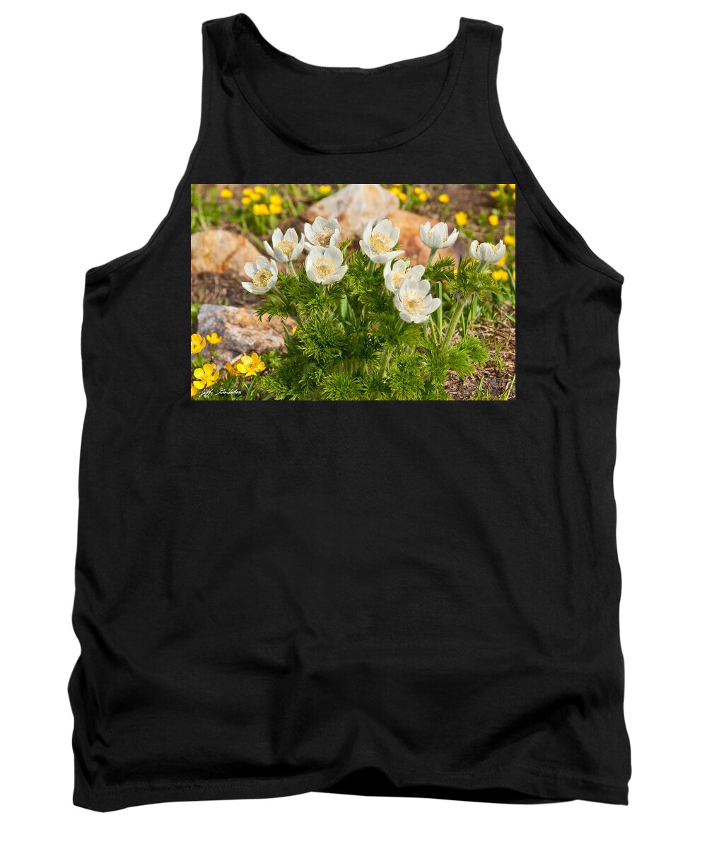 Beauty In Nature Tank Top featuring the photograph Western Pasqueflower and Buttercups Blooming in a Meadow by Jeff Goulden