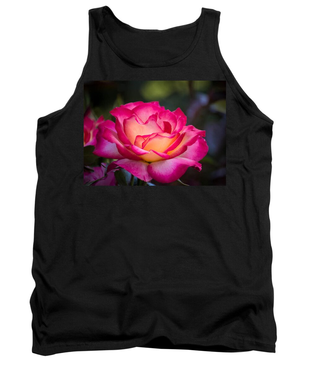 Rose Tank Top featuring the photograph When it's love by Patricia Babbitt