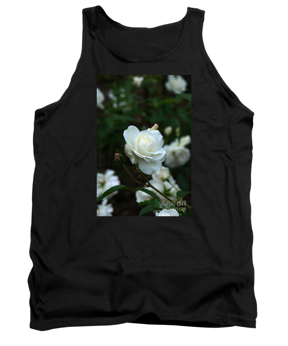 White Rose Tank Top featuring the photograph White Rose by Richard Gibb