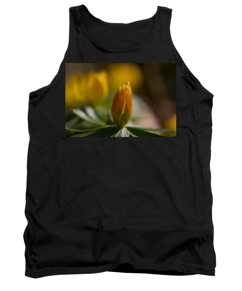 Winter Aconite Tank Top featuring the photograph Winter Aconite by Andreas Levi