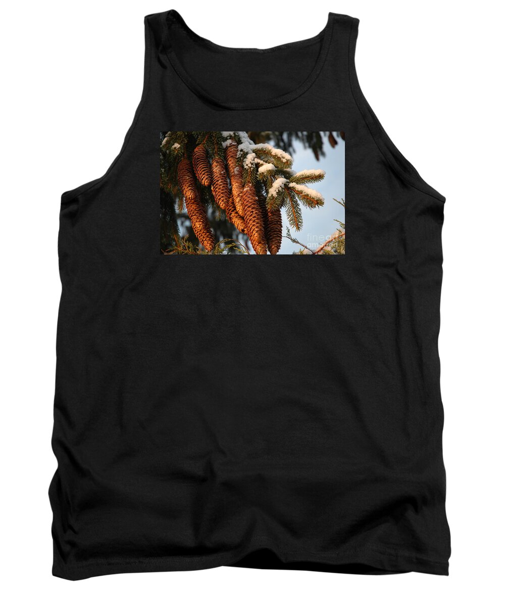 Pine Tank Top featuring the photograph Winter Pine - Holiday by Susan Carella