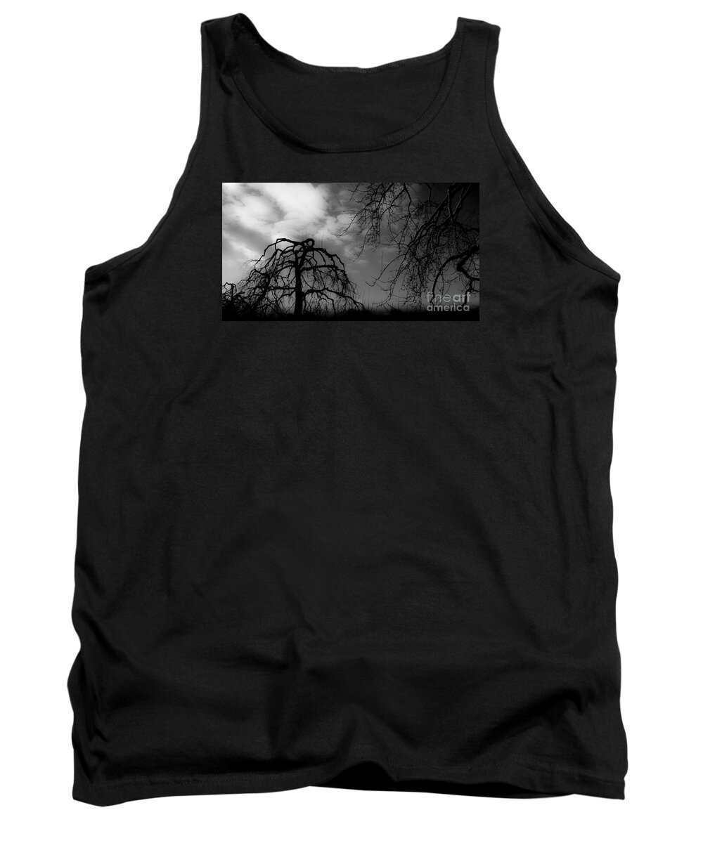 Apple Tank Top featuring the photograph Winter Silhouette by Michael Arend