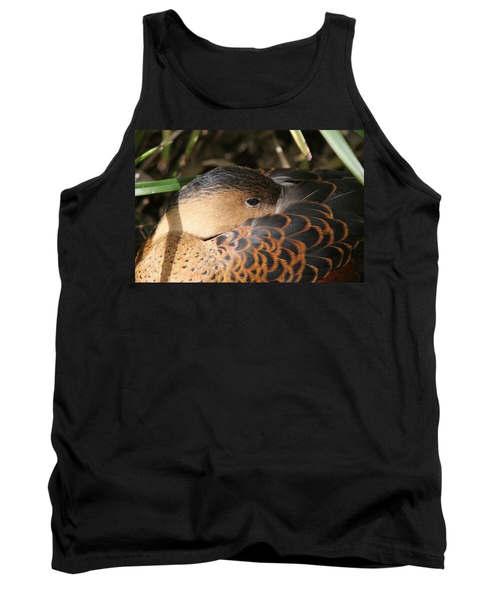 Wood Duck Tank Top featuring the photograph Wood Duck Hiding by Ian McAdie