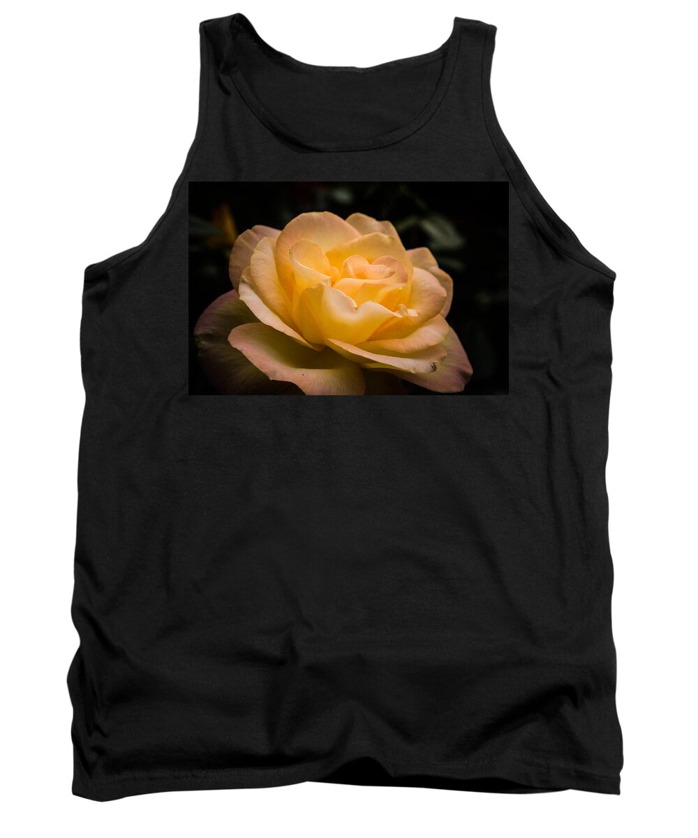 New England Tank Top featuring the photograph Yellow ray of sunshine by Jeff Folger