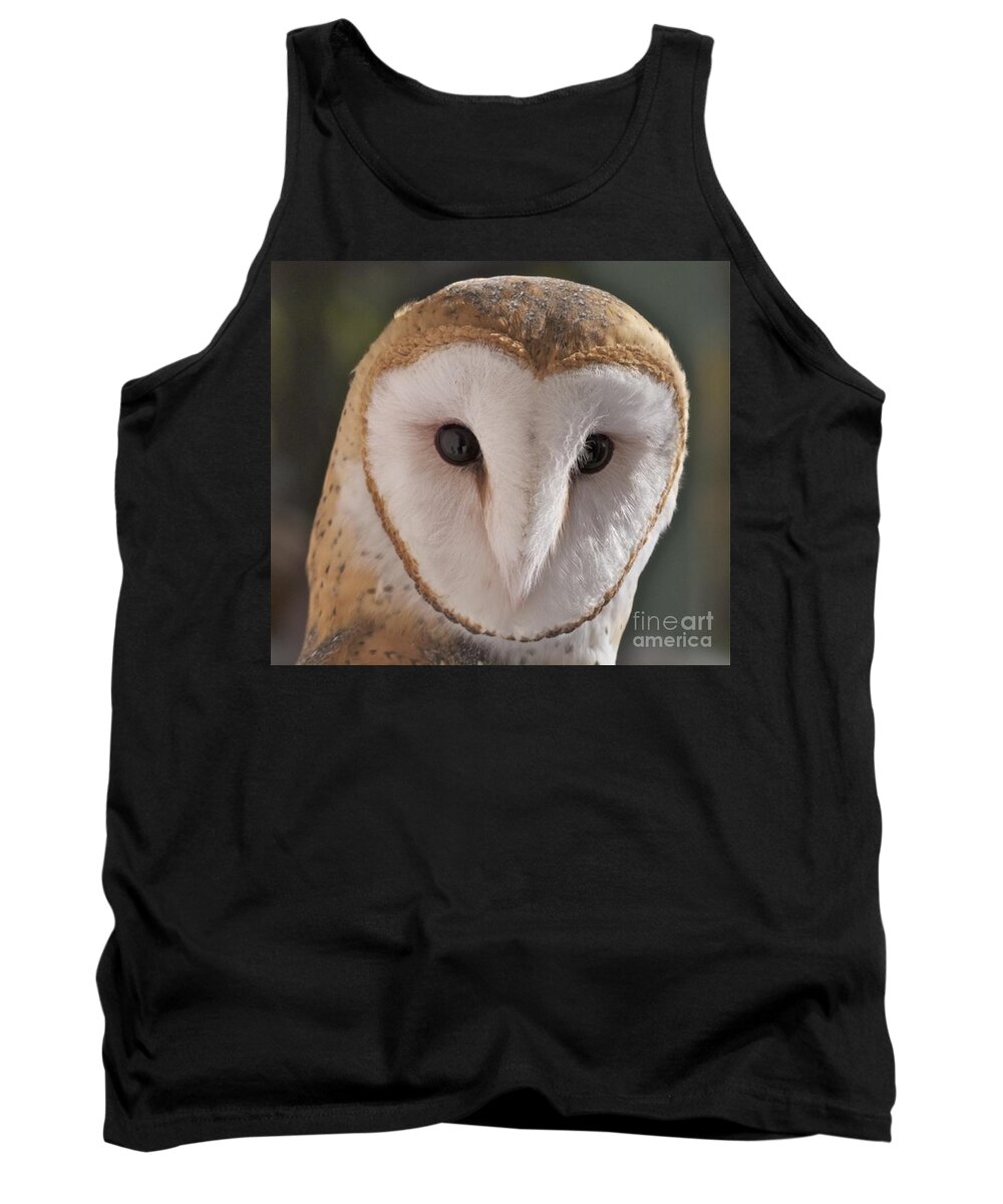 Barn Owl Tank Top featuring the photograph Young Barn Owl by K L Kingston
