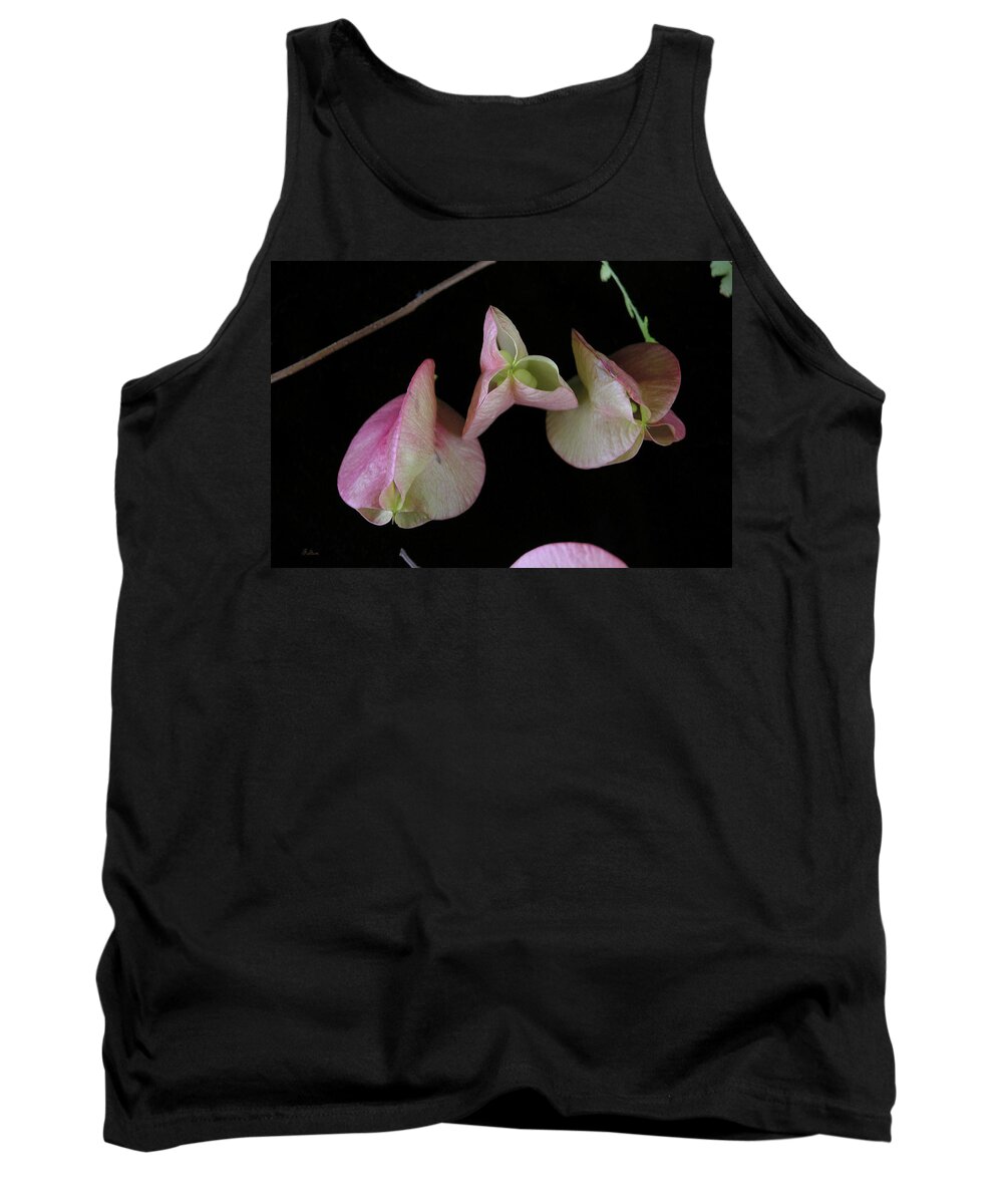 Delicate Tank Top featuring the photograph Zen of Nature I by Julianne Felton