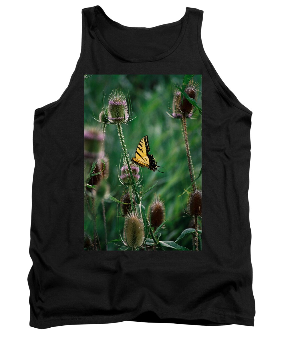 New Mexico Tank Top featuring the photograph Delicate Dance by Ron Weathers