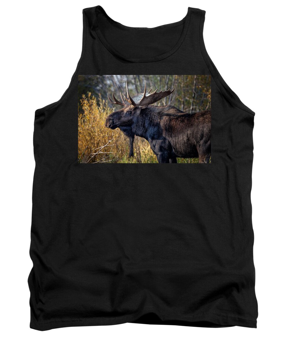 2012 Tank Top featuring the photograph Bull Moose #2 by Ronald Lutz