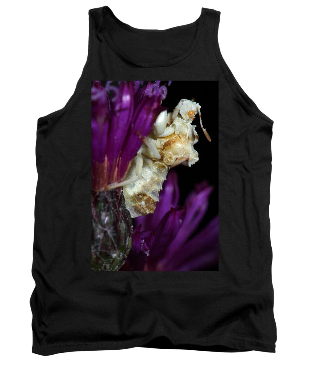 Phymatidae Tank Top featuring the photograph Ambush Bug On Ironweed by Daniel Reed