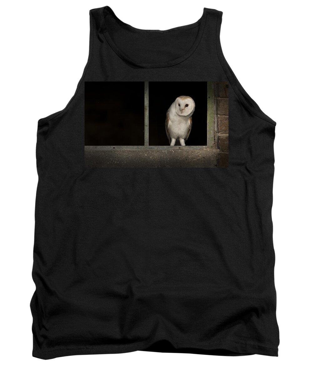 Barn Owl Tank Top featuring the photograph Barn Owl in Window by Andy Astbury